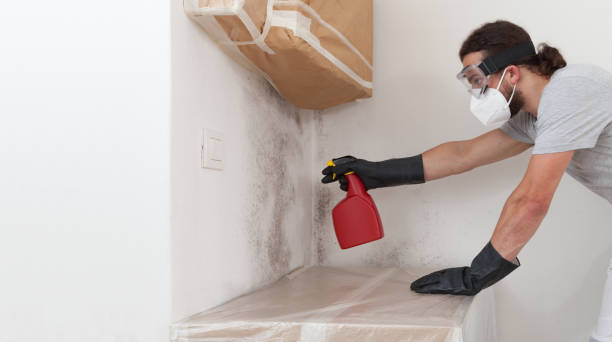 Professional Black Mold Remediation technician working in Lakeside, VA