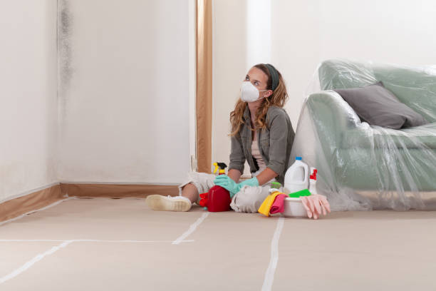 Reliable Black Mold Remediation contractor in Lakeside, VA by 24 Hour Mold Removal